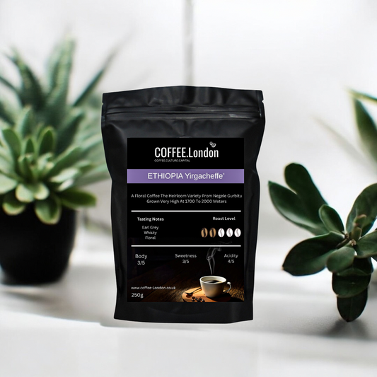 Ethiopia Yirgacheffe